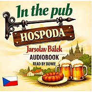IN THE PUB - Jaroslav Bálek