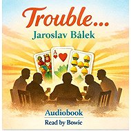 Trouble... - Jaroslav Bálek