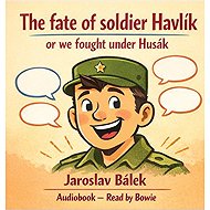 The fate of soldier Havlík or we fought under Husák - Jaroslav Bálek