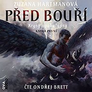 Before the storm - Zuzana Hartmanová