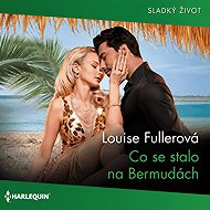 Co se stalo na Bermudách - 