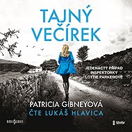 Secret party - Patricia Gibney