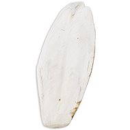 Akinu Cuttlebone loose 1 kg 25-30 cm - Cuttlebone