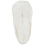 Akinu Cuttlebone loose 1 kg 15-20 cm - Cuttlebone