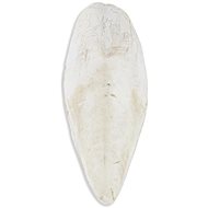 Akinu Cuttlebone loose 1 kg 20-25 cm - Cuttlebone