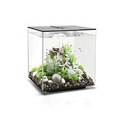 biOrb CUBE 60 LED, Black - Aquarium
