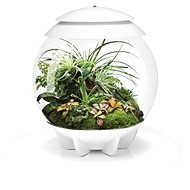 biOrb AIR 30 White - Terrarium