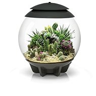 biOrb AIR 30 Grey - Terrarium