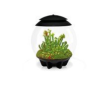 biOrb AIR 30 Black - Terrarium