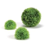 biOrb Aquatic topiary ball set 3 green - Aquarium Decoration