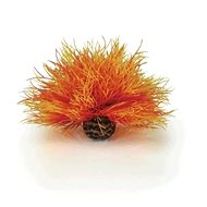 biOrb Aquatic sea lily flame - Aquarium Decoration