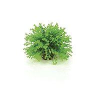 biOrb Flower ball green - Aquarium Decoration