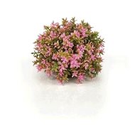 biOrb Flower ball pink - Aquarium Decoration