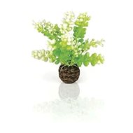 biOrb Aquatic Caulerpa green - Aquarium Decoration