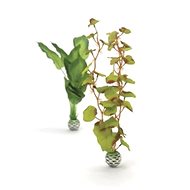 biOrb Silk plant set M green - Aquarium Decoration