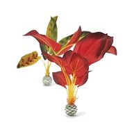 biOrb Silk plant set L green & red - Aquarium Decoration
