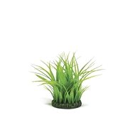 biOrb Grass ring S green - Aquarium Decoration