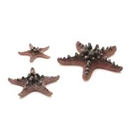 biOrb Sea Star set 3 pink - Aquarium Decoration
