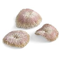 biOrb plate coral set - Aquarium Decoration