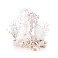 biOrb decorative set Winter Dream - Aquarium Decoration