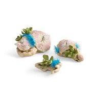 biOrb plate corals & button polyp set - Aquarium Decoration