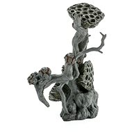 biOrb Lotus seedpod on Root L - Aquarium Decoration