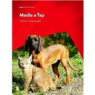  Handles and TAP  - 