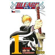  Bleach 1: The Death and the Strawberry  - 