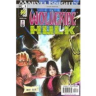  Wolverine and Hulk  - 