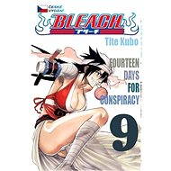 Bleach 9 - 