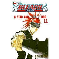 Bleach 11 - 