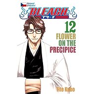Bleach 12 - 