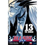 Bleach 13 - 