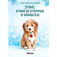 Štěně, které se ztratilo o Vánocích - 