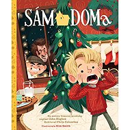 Sám doma, Príbeh podľa filmu - Collective