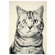 Alfa Carpets  Kusový koberec Cat grey 190 × 280 - Koberec