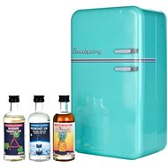 Retro Gin Fridge 8×0,05l 46% GB - Gin