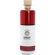 Bernardo's Cactus Sürest 0,7 l 39 % vol. - Gin