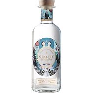 Deau GINETIC 0.7l 40% - Gin