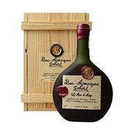 Armagnac Delord 60y 0.7l 40% - Cognac