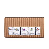 Anton Kaapl Mini Set 5 × 0.05l 47% GB - Spirit