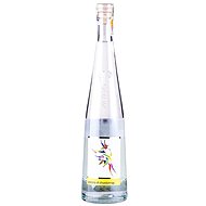 Bruno Pilzer Grappa di Chardonnay 43% 0,7l - Spirit