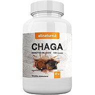 Allnature Chaga Capsule 100 Capsules - Chaga