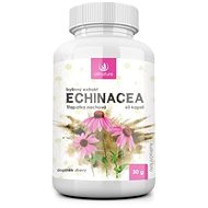 Allnature Echinacea Herbal Extract 60 Capsules - Echinacea