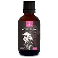 Allnature Echinacea Herbal Drops 50ml - Echinacea