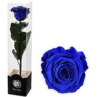 ALTX Preserved Rose on a 30cm Stem, Blue - Artificial Flower