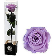 ALTX Preserved Rose on a 30cm stem, lilac - Artificial Flower