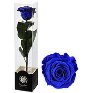 ALTX stabilised rose on a stem 60cm blue - Artificial Flower
