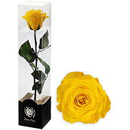 ALTX stabilised rose on a stem 60cm yellow - Artificial Flower