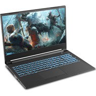 CLEVO NH55HKQ (Core i5-11400H, 15.6" 144Hz, WiFi, RTX 3050Ti) Black - Gaming Laptop